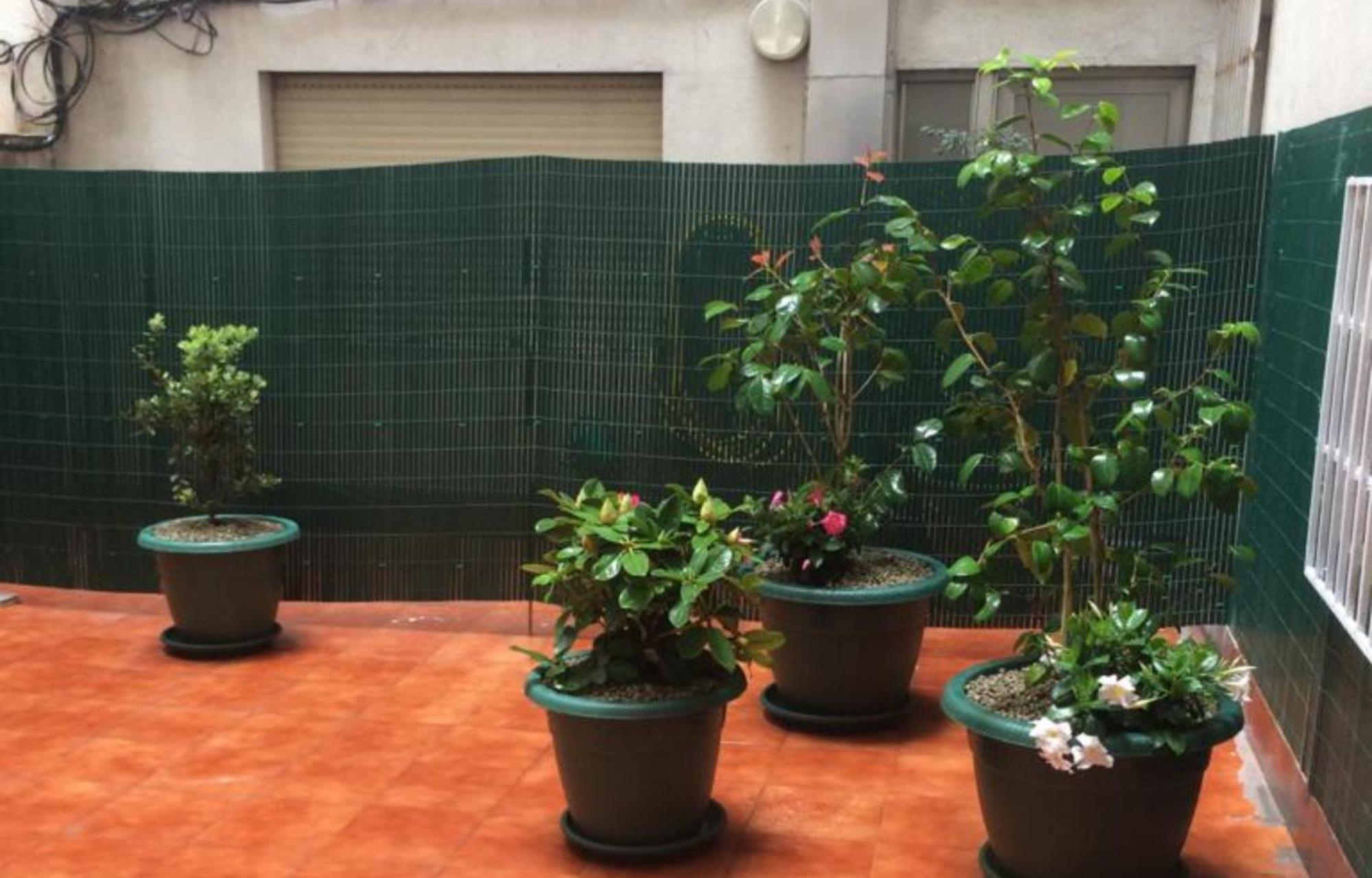 Cies Homes Garcia Barbon 108 - Love Your Stay Виго Екстериор снимка